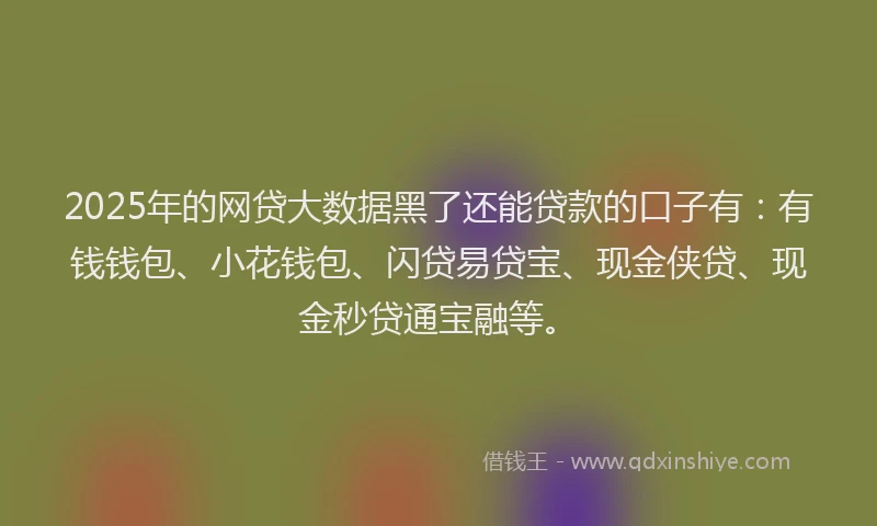 2025年的网贷大数据黑了还能贷款的口子有：有钱钱包、小花钱包、闪贷易贷宝、现金侠贷、现金秒贷通宝融等。