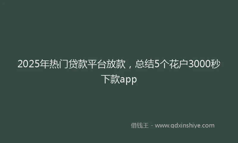 2025年热门贷款平台放款，总结5个花户3000秒下款app