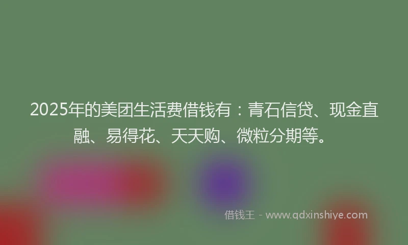 2025年的美团生活费借钱有：青石信贷、现金直融、易得花、天天购、微粒分期等。