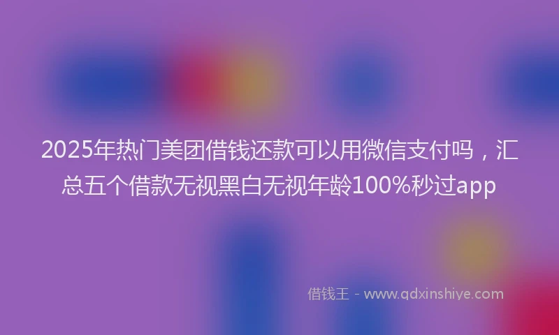 2025年热门美团借钱还款可以用微信支付吗，汇总五个借款无视黑白无视年龄100%秒过app