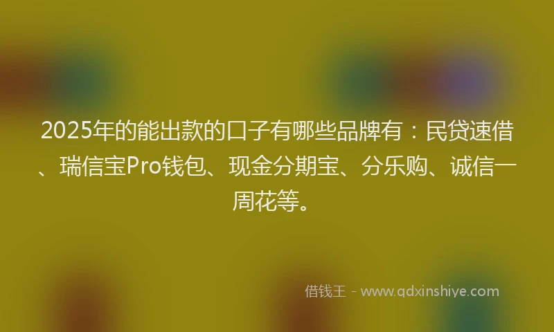 2025年的能出款的口子有哪些品牌有：民贷速借、瑞信宝Pro钱包、现金分期宝、分乐购、诚信一周花等。