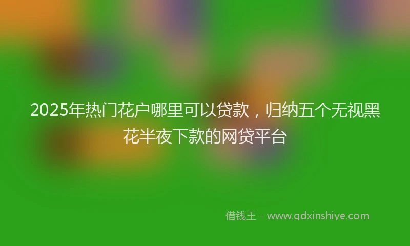 2025年热门花户哪里可以贷款，归纳五个无视黑花半夜下款的网贷平台