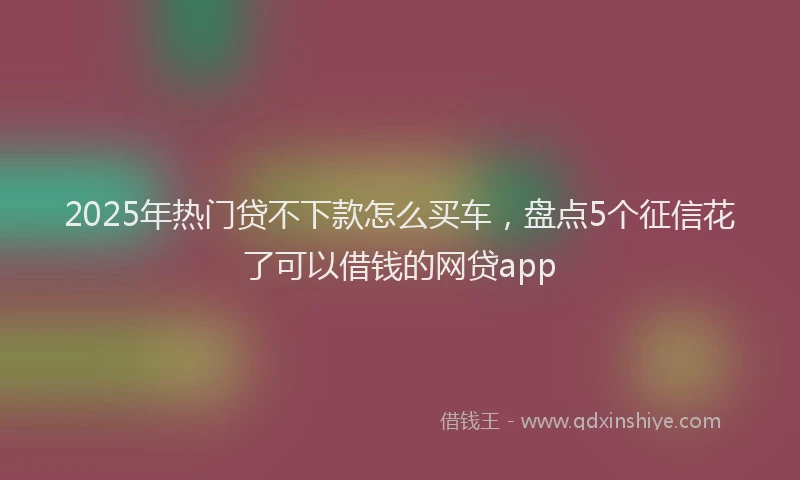 2025年热门贷不下款怎么买车,盘点5个征信花了可以借钱的网贷app
