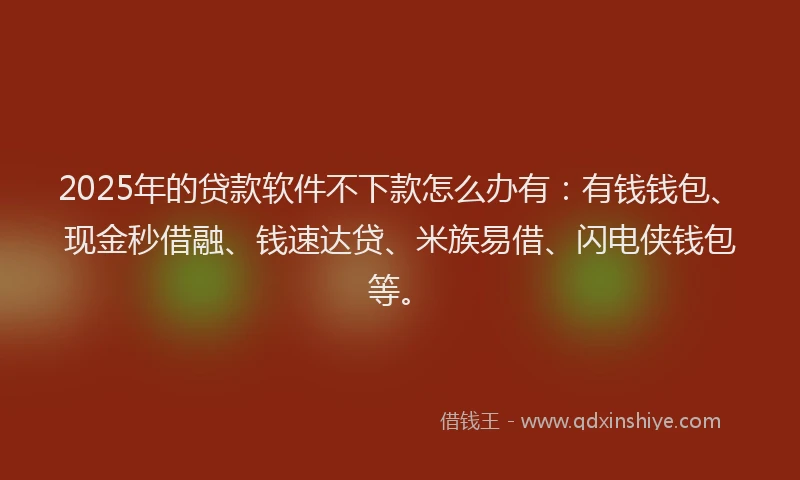 2025年的贷款软件不下款怎么办有：有钱钱包、现金秒借融、钱速达贷、米族易借、闪电侠钱包等。