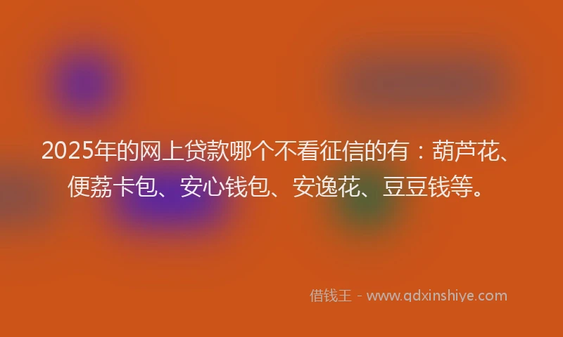 2025年的网上贷款哪个不看征信的有：葫芦花、便荔卡包、安心钱包、安逸花、豆豆钱等。
