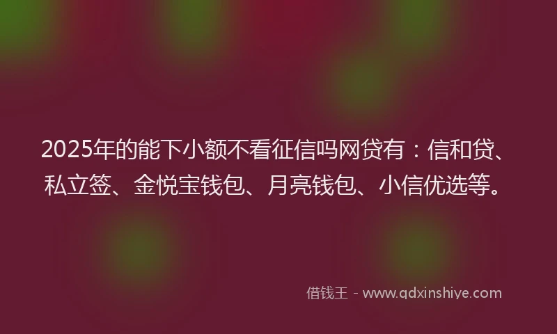 2025年的能下小额不看征信吗网贷有：信和贷、私立签、金悦宝钱包、月亮钱包、小信优选等。