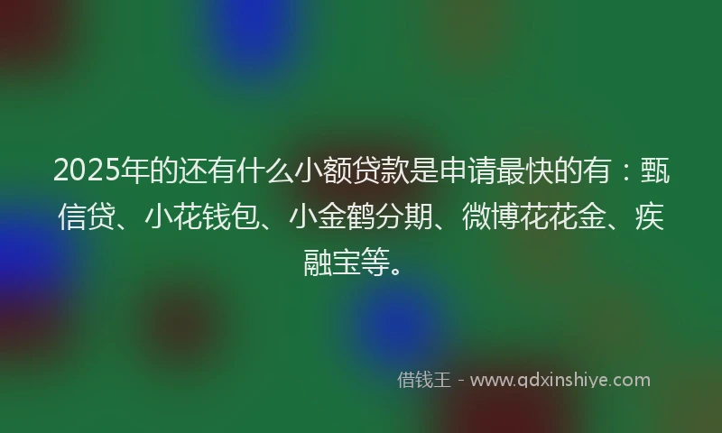 2025年的还有什么小额贷款是申请最快的有：甄信贷、小花钱包、小金鹤分期、微博花花金、疾融宝等。