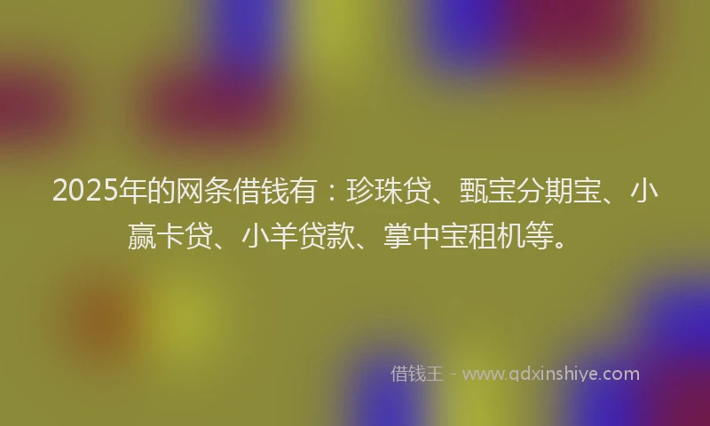 2025年的网条借钱有：珍珠贷、甄宝分期宝、小赢卡贷、小羊贷款、掌中宝租机等。