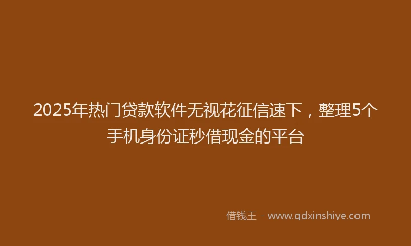 2025年热门贷款软件无视花征信速下，整理5个手机身份证秒借现金的平台