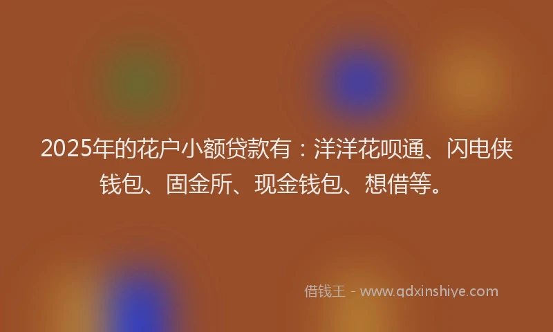 2025年的花户小额贷款有：洋洋花呗通、闪电侠钱包、固金所、现金钱包、想借等。