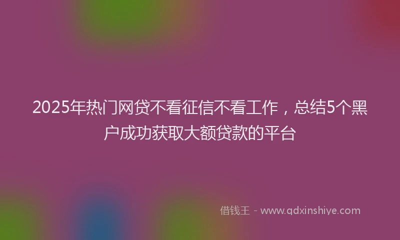 2025年热门网贷不看征信不看工作，总结5个黑户成功获取大额贷款的平台
