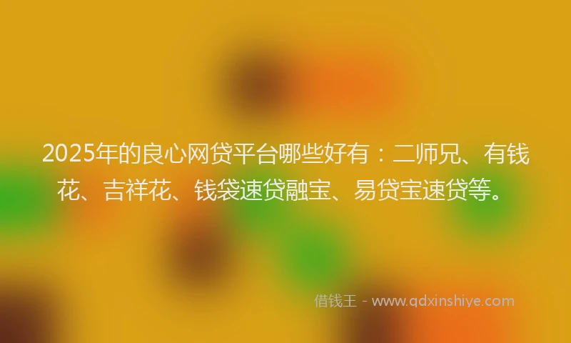 2025年的良心网贷平台哪些好有：二师兄、有钱花、吉祥花、钱袋速贷融宝、易贷宝速贷等。
