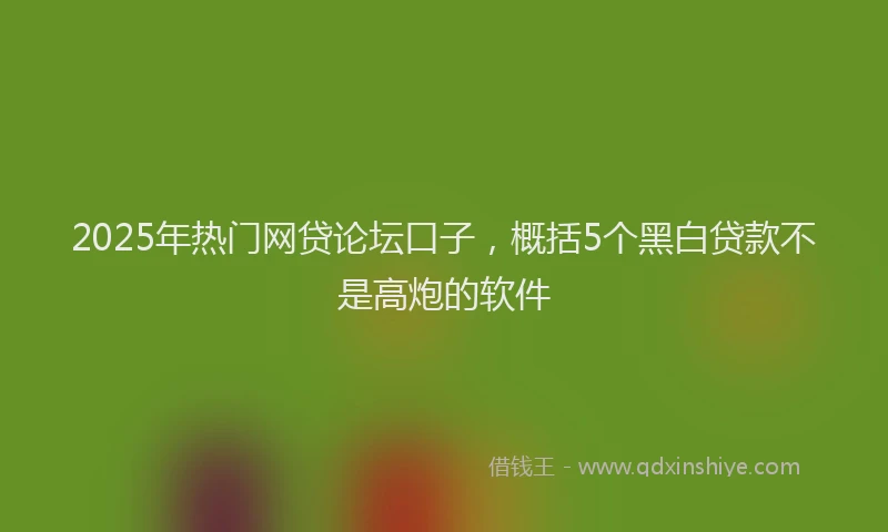 2025年热门网贷论坛口子，概括5个黑白贷款不是高炮的软件