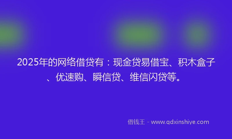 2025年的网络借贷有：现金贷易借宝、积木盒子、优速购、瞬信贷、维信闪贷等。