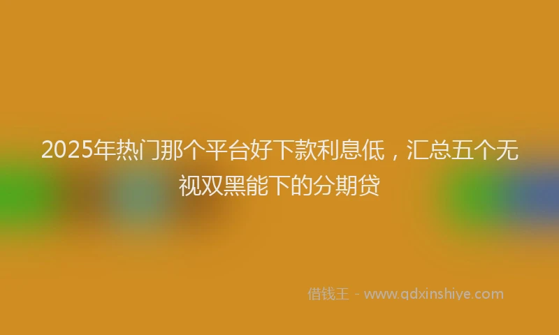 2025年热门那个平台好下款利息低，汇总五个无视双黑能下的分期贷