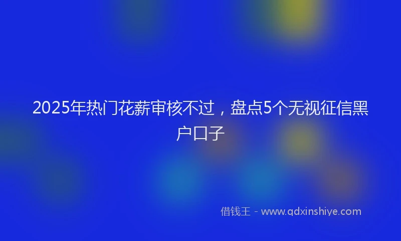 2025年热门花薪审核不过，盘点5个无视征信黑户口子
