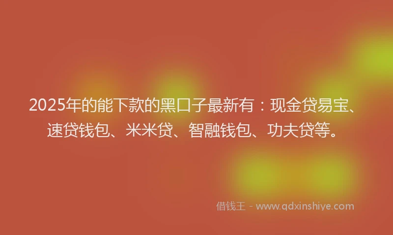 2025年的能下款的黑口子最新有：现金贷易宝、速贷钱包、米米贷、智融钱包、功夫贷等。