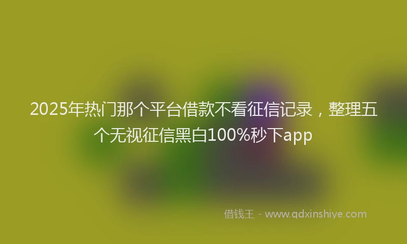 2025年热门那个平台借款不看征信记录，整理五个无视征信黑白100%秒下app