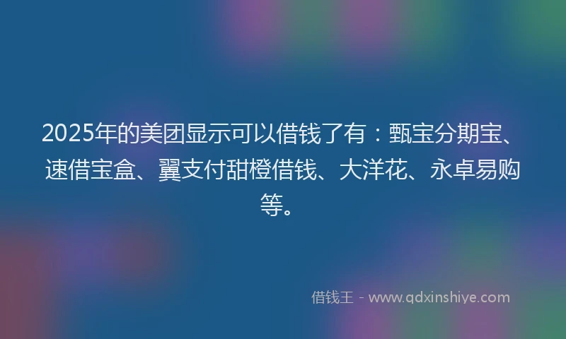2025年的美团显示可以借钱了有：甄宝分期宝、速借宝盒、翼支付甜橙借钱、大洋花、永卓易购等。