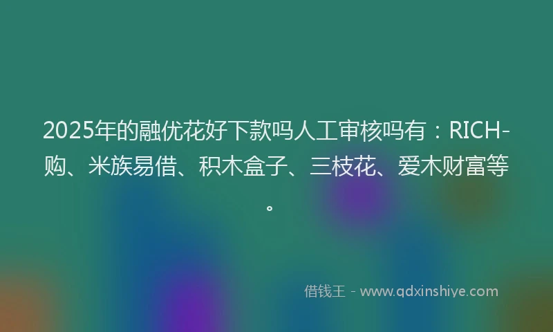2025年的融优花好下款吗人工审核吗有：RICH-购、米族易借、积木盒子、三枝花、爱木财富等。