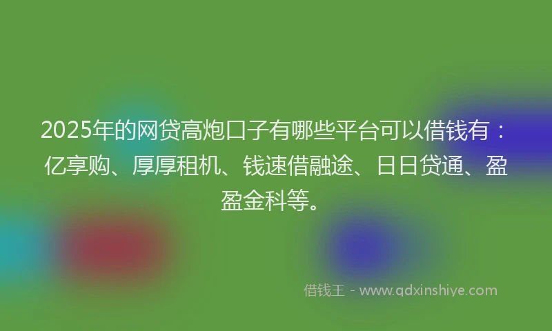 2025年的网贷高炮口子有哪些平台可以借钱有：亿享购、厚厚租机、钱速借融途、日日贷通、盈盈金科等。