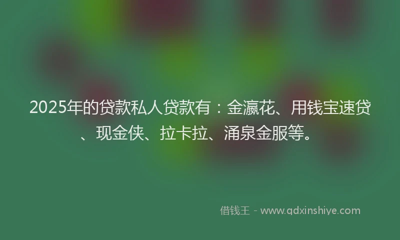 2025年的贷款私人贷款有：金瀛花、用钱宝速贷、现金侠、拉卡拉、涌泉金服等。