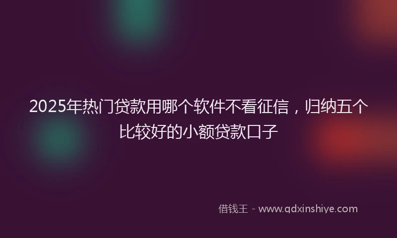 2025年热门贷款用哪个软件不看征信，归纳五个比较好的小额贷款口子