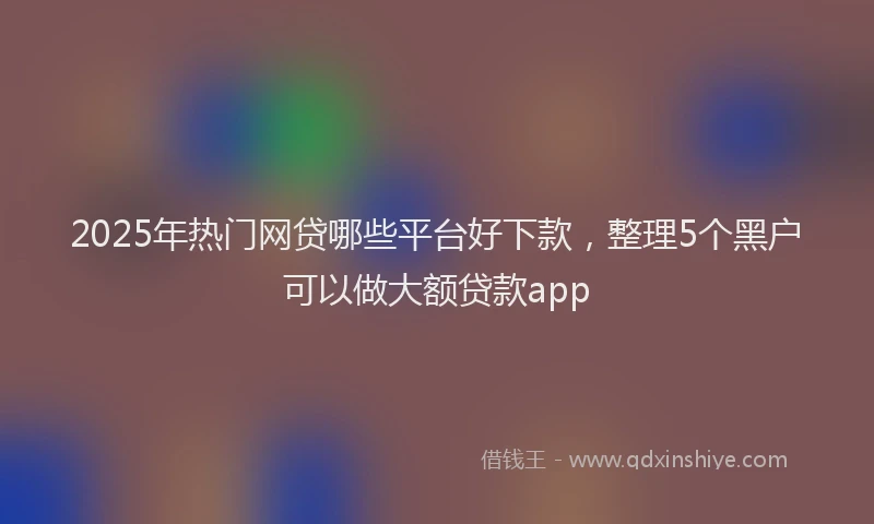2025年热门网贷哪些平台好下款，整理5个黑户可以做大额贷款app