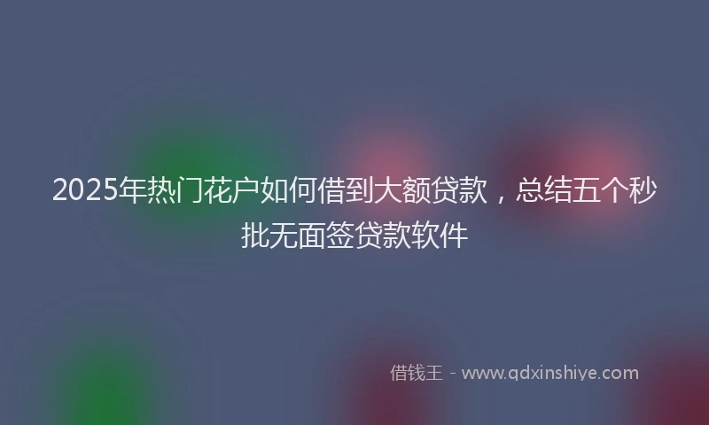 2025年热门花户如何借到大额贷款，总结五个秒批无面签贷款软件