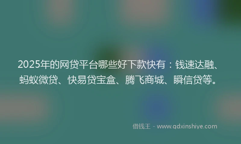 2025年的网贷平台哪些好下款快有：钱速达融、蚂蚁微贷、快易贷宝盒、腾飞商城、瞬信贷等。