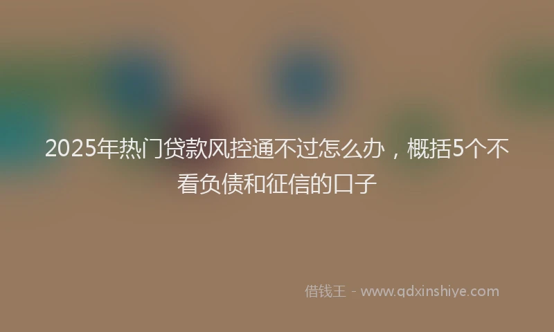 2025年热门贷款风控通不过怎么办，概括5个不看负债和征信的口子