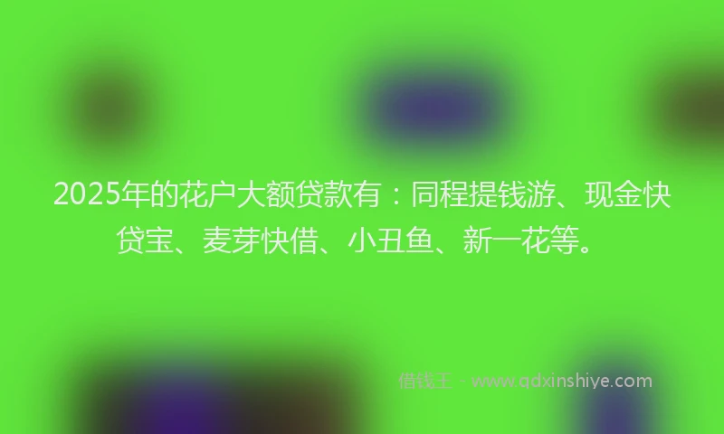 2025年的花户大额贷款有：同程提钱游、现金快贷宝、麦芽快借、小丑鱼、新一花等。