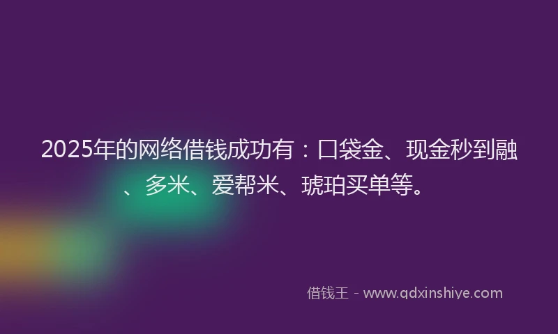 2025年的网络借钱成功有：口袋金、现金秒到融、多米、爱帮米、琥珀买单等。