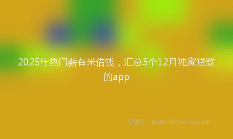 2025年热门薪有米借钱，汇总5个12月独家贷款的app