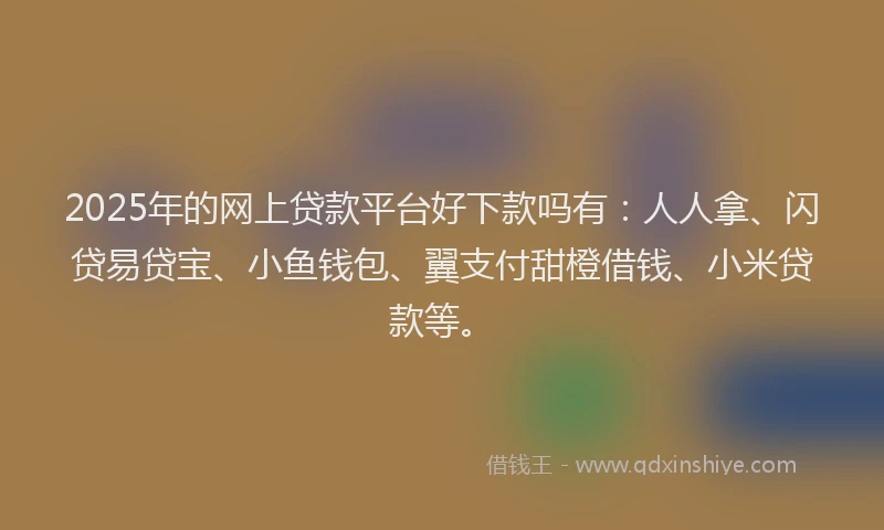 2025年的网上贷款平台好下款吗有：人人拿、闪贷易贷宝、小鱼钱包、翼支付甜橙借钱、小米贷款等。