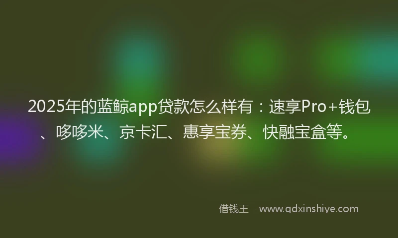 2025年的蓝鲸app贷款怎么样有：速享Pro+钱包、哆哆米、京卡汇、惠享宝券、快融宝盒等。