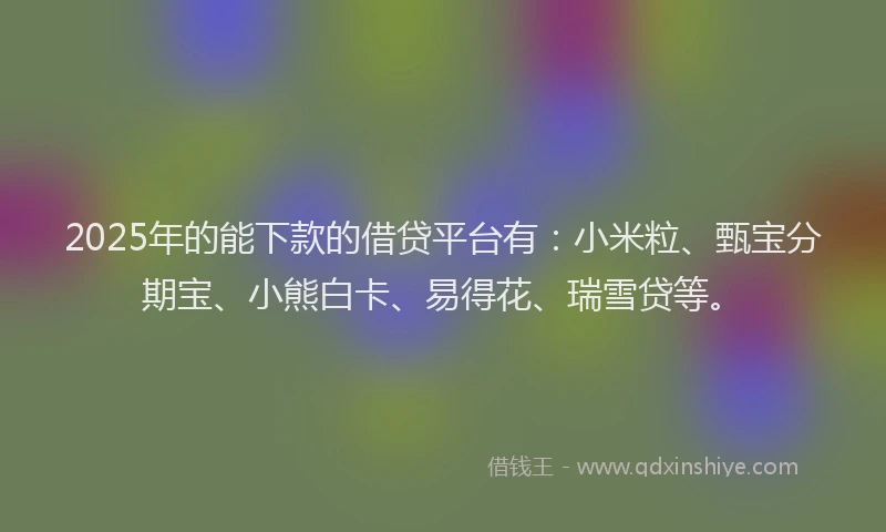 2025年的能下款的借贷平台有：小米粒、甄宝分期宝、小熊白卡、易得花、瑞雪贷等。