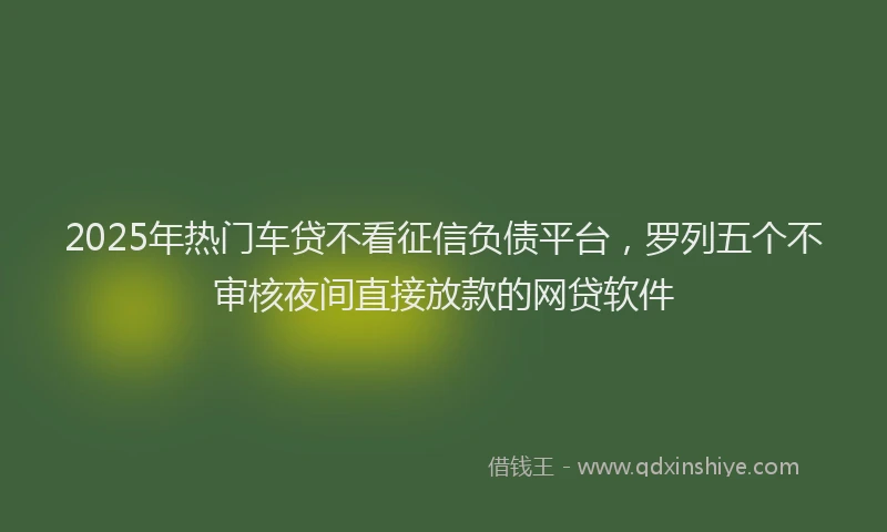 2025年热门车贷不看征信负债平台，罗列五个不审核夜间直接放款的网贷软件