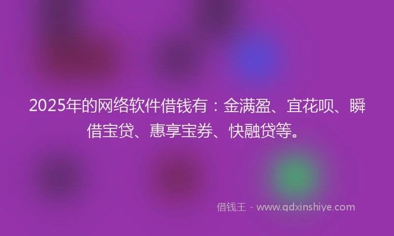 2025年的网络软件借钱有：金满盈、宜花呗、瞬借宝贷、惠享宝券、快融贷等。