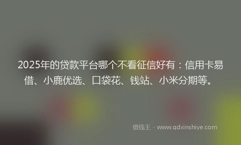 2025年的贷款平台哪个不看征信好有：信用卡易借、小鹿优选、口袋花、钱站、小米分期等。