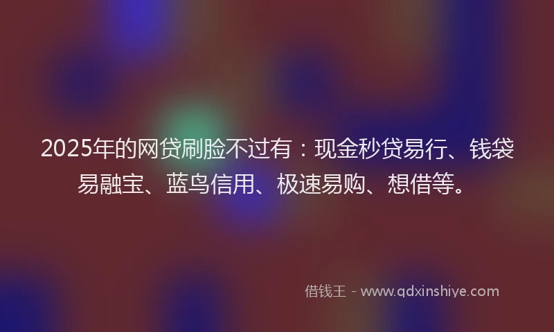 2025年的网贷刷脸不过有：现金秒贷易行、钱袋易融宝、蓝鸟信用、极速易购、想借等。