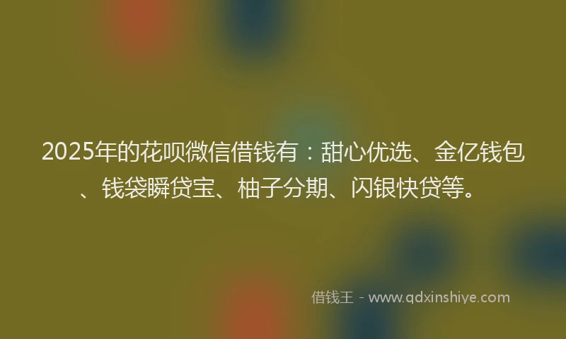 2025年的花呗微信借钱有：甜心优选、金亿钱包、钱袋瞬贷宝、柚子分期、闪银快贷等。