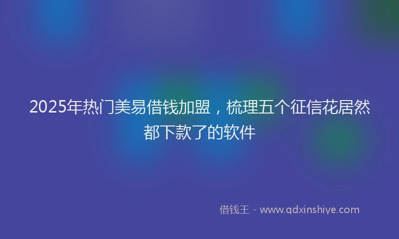 2025年热门美易借钱加盟，梳理五个征信花居然都下款了的软件