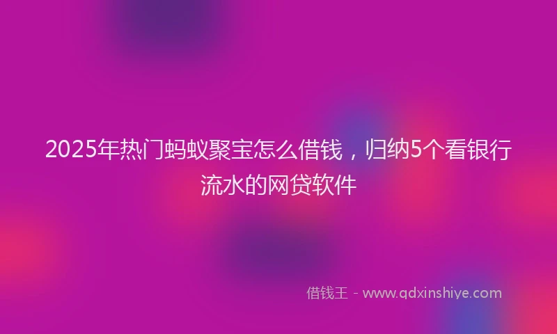2025年热门蚂蚁聚宝怎么借钱，归纳5个看银行流水的网贷软件