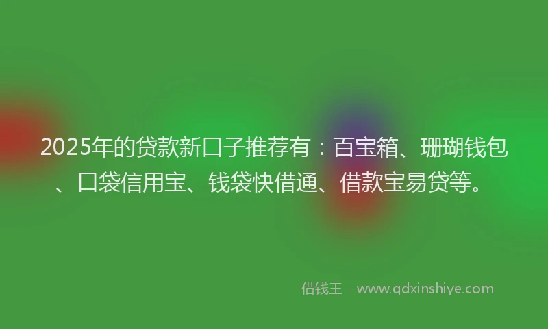 2025年的贷款新口子推荐有：百宝箱、珊瑚钱包、口袋信用宝、钱袋快借通、借款宝易贷等。
