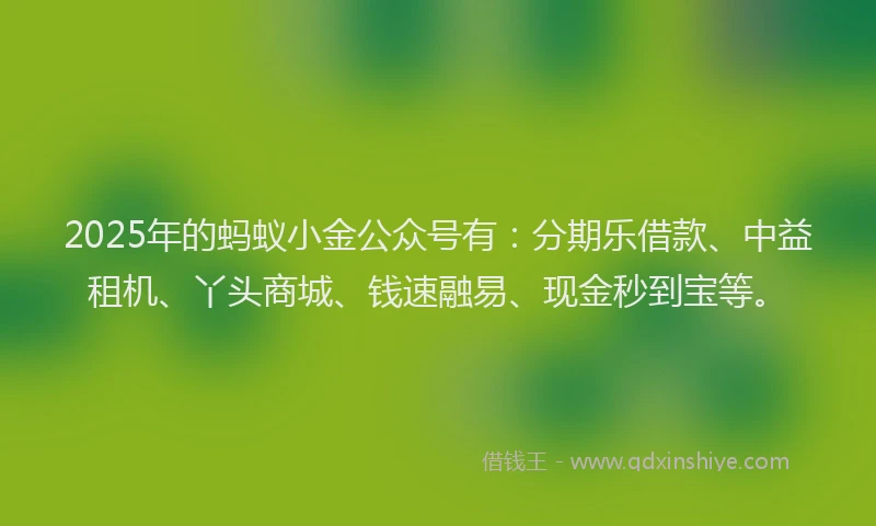 2025年的蚂蚁小金公众号有：分期乐借款、中益租机、丫头商城、钱速融易、现金秒到宝等。