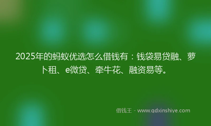 2025年的蚂蚁优选怎么借钱有：钱袋易贷融、萝卜租、e微贷、牵牛花、融资易等。