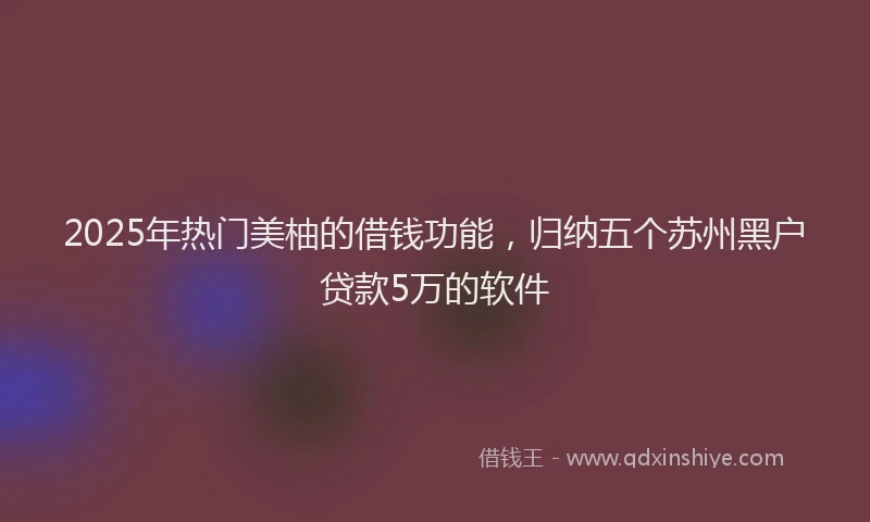 2025年热门美柚的借钱功能，归纳五个苏州黑户贷款5万的软件