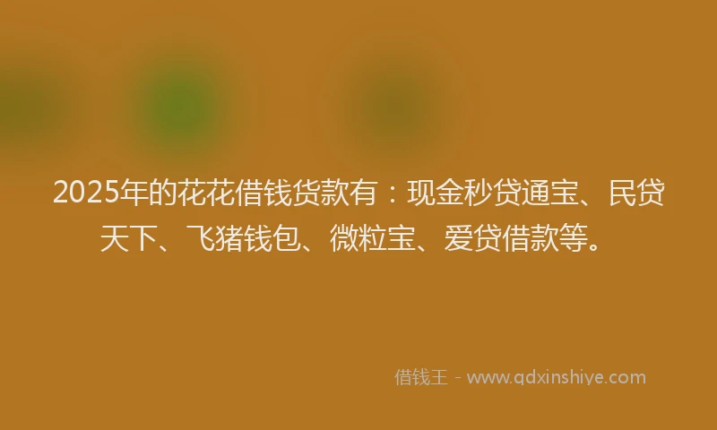 2025年的花花借钱货款有：现金秒贷通宝、民贷天下、飞猪钱包、微粒宝、爱贷借款等。