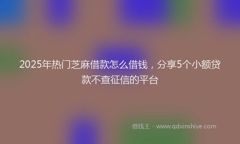 2025年热门芝麻借款怎么借钱，分享5个小额贷款不查征信的平台